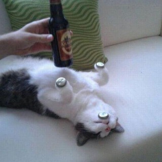 Brutal — Telegram Bot @brutalbot