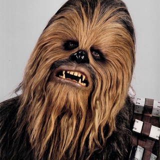 Chewbacca — Telegram Bot {{ $bot->code }}