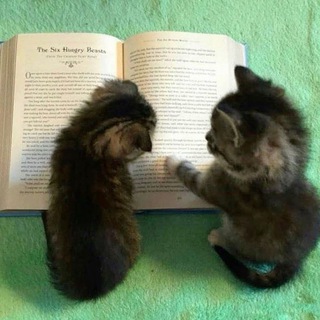 Dead Helper — Telegram Bot @dead_helper_off_bot