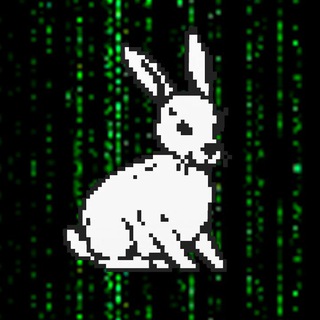 DIstrict Clash // PunkCity — Telegram Bot @districtclash_bot