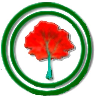 EcmoBot — Telegram Bot @ecmo_bot