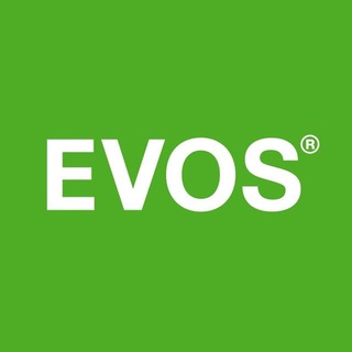 EVOS Доставка — Telegram Bot {{ $bot->code }}