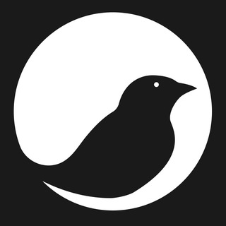 Finch Coin Airdrop — Telegram Bot @finchairdropbot