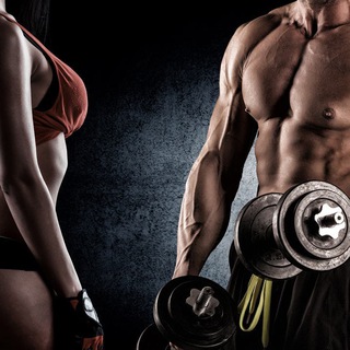 Fitness — Telegram Bot @fithealthbot