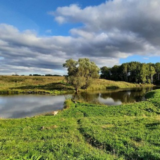 Фотопланета Бот — Telegram Bot {{ $bot->code }}