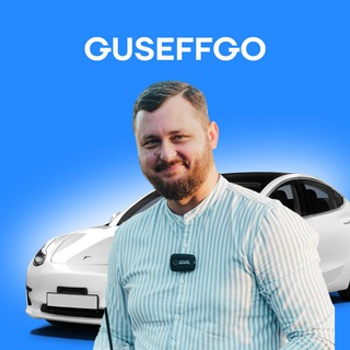 Guseff Go — Telegram Bot {{ $bot->code }}
