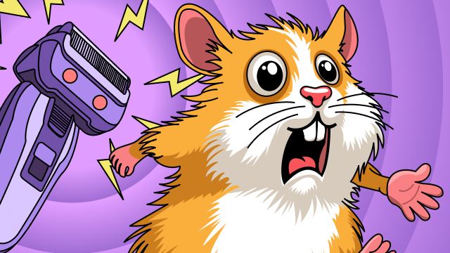 Hamsterdam — Telegram Bot @hamsterdamplaybot
