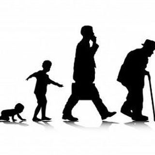 HowOldAreYou_Bot — Telegram Bot {{ $bot->code }}