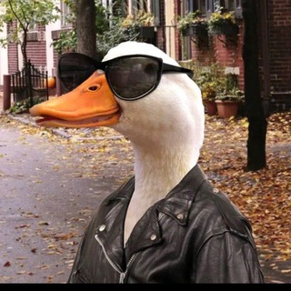 es, I am totally sure. — Telegram Bot @koschatbot