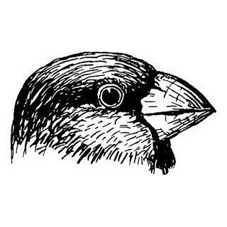 Lang Blocker Bot — Telegram Bot @lang_blocker_bot