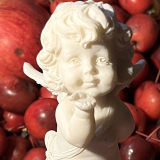 Muse — Telegram Bot {{ $bot->code }}