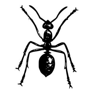 OrgRobot — Telegram Bot {{ $bot->code }}