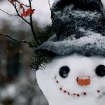 PinsSaveBot — Telegram Bot {{ $bot->code }}