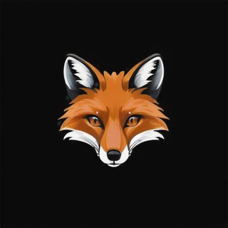 REWARDO — Telegram Bot @rewardoairdrop1_bot