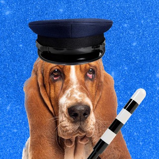 Синячий патруль — Telegram Bot {{ $bot->code }}