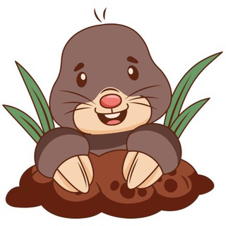 Mole Smash — Telegram Bot {{ $bot->code }}