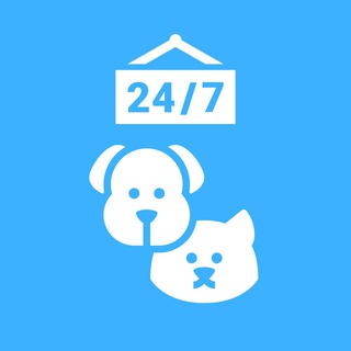 Stepogram bot 🤖 — Telegram Bot @stepogrambot