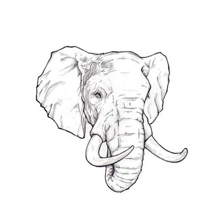 TgDump Bot — Telegram Bot {{ $bot->code }}