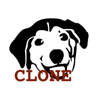 WatchDog Clone Robot — Telegram Bot {{ $bot->code }}