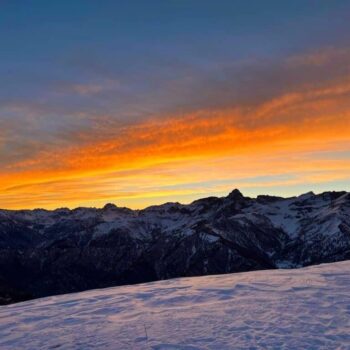 Logo del canale telegramma amicidigabriel - Amici di Gabriel