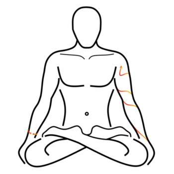 Logo del canale telegramma dojonaturismoolistico - 🏳️‍🌈 Dojo Naturismo Olistico 🇮🇹