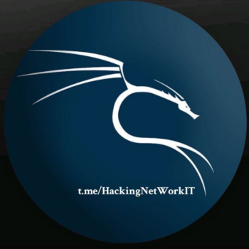 Logo del canale telegramma hackingnetworkit - Hacking network