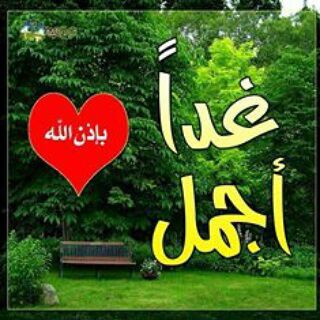 Telegram channel المسلمين حول العالم logo