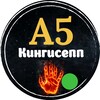 Логотип телеграм канала @a5hkjh — А5 Кингисепп