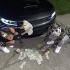 Логотип телеграм канала @a6apter — гуччи - бог