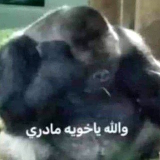 لوگوی کانال تلگرام a77_w — شتبوست