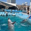 Telegram channel 数据生成检测筛料【号码检测】IM过蓝 logo