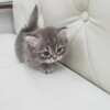 Логотип телеграм канала @aaaaaaa1aab — Как выложить видео в ТТ