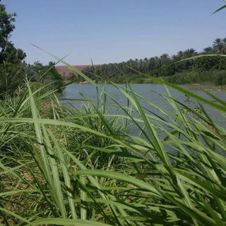لوگوی کانال تلگرام aaaadd123 — Sharifa Al-Qarni