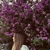 Логотип телеграм канала @aaaavvvvsss — вижу по глазам
