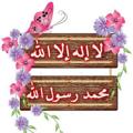 Logo saluran telegram aahlalquran — سيرة النبيﷺوقصص الأنبياء