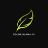 Логотип телеграм канала @aakkkkkkkk1 — Golos.islama.ru