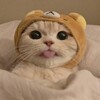Логотип телеграм канала @aalovvvvvvv — artem