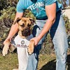 Логотип телеграм канала @aalphaindustries — Барахла alpha industries - Pitbull -CP Company - lonsdale - ellesse - mastrum - stone island.