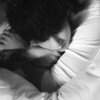 Логотип телеграм канала @aamoreess — 𝙻𝚎 𝚖𝚘𝚗𝚍𝚎 𝚍𝚎 𝚕'â𝚖𝚎