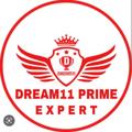 Telegram channel Dream11 Expert🏆 logo