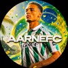 Логотип телеграм канала @aarnefcmods — AarneFC