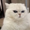 Telegram kanalining logotibi aashany — АЩЩ🤍