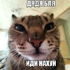 Логотип телеграм канала @abaldyu69 — AbalDyu ⚡️