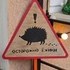 Логотип телеграм канала @abcd_ezh — а б в где ёж