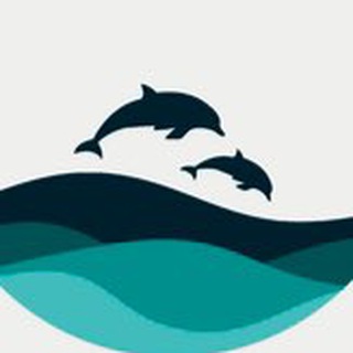 Логотип телеграм канала @abhaziatravel — AbkhaziaTravel🐬