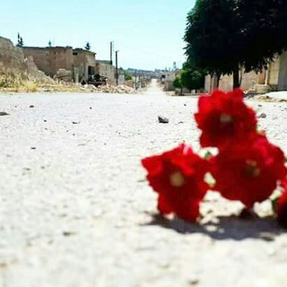 لوگوی کانال تلگرام abo_alkhtab_edleb — مسـڪ الجنـة