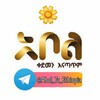 የቴሌግራም ቻናል አርማ abol_tv_ethio — 🌼 አቦል ቲቪ Abol Tv 🌼