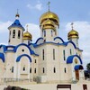 Логотип телеграм канала @abortionisnot — Китион