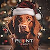 Логотип телеграм канала @about_dogs_love — _Pᥣᥲᥒᴛ ɗ᧐ggyᶜʰᵃⁿᵉˡˡ_