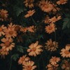Логотип телеграм -каналу about_plants — THeart of biology 💚🐞🦫